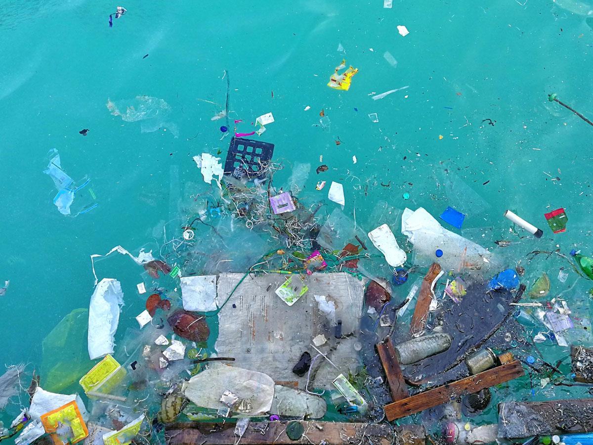 Impact of plastic pollution on the ocean